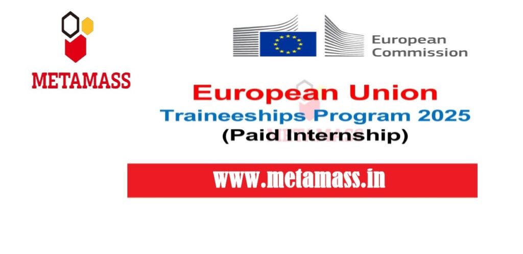 European Union Traineeships Program 2025