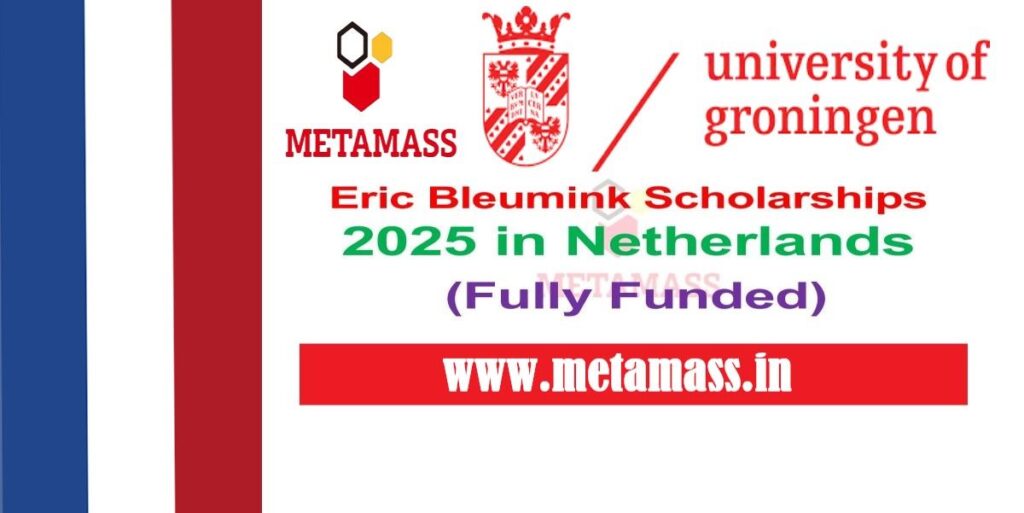 Eric Bleumink Scholarships 2025 in Netherlands