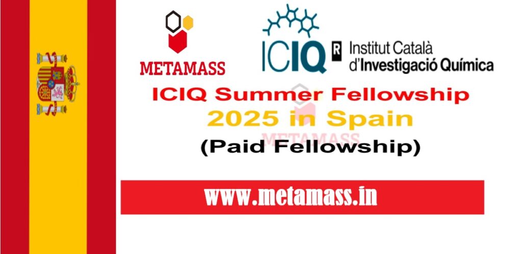 ICIQ Summer Fellowship 2025 in Spain